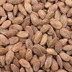 Bezer Batikh (Roasted Watermelon Seeds)