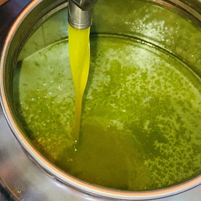 Darmmess Extra Virgin Olive Oil, Zeit Zeitoun