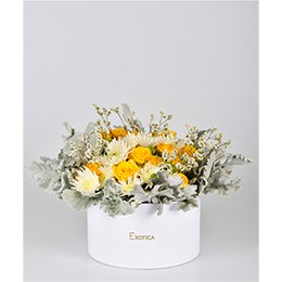 Flowers:   Wonderful in White