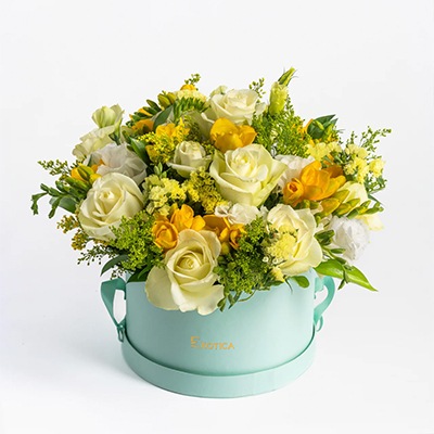     Flowers: Mellow Yellow