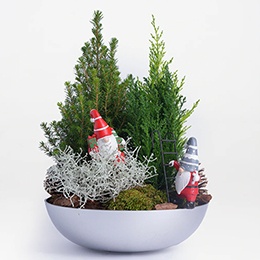    Christmas Arrangement: Santa's Forest